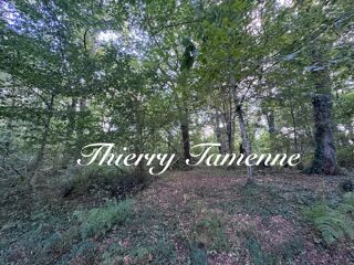  Terrain � vendre 50154 m�