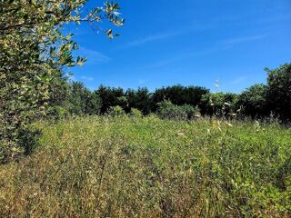  Terrain � vendre 