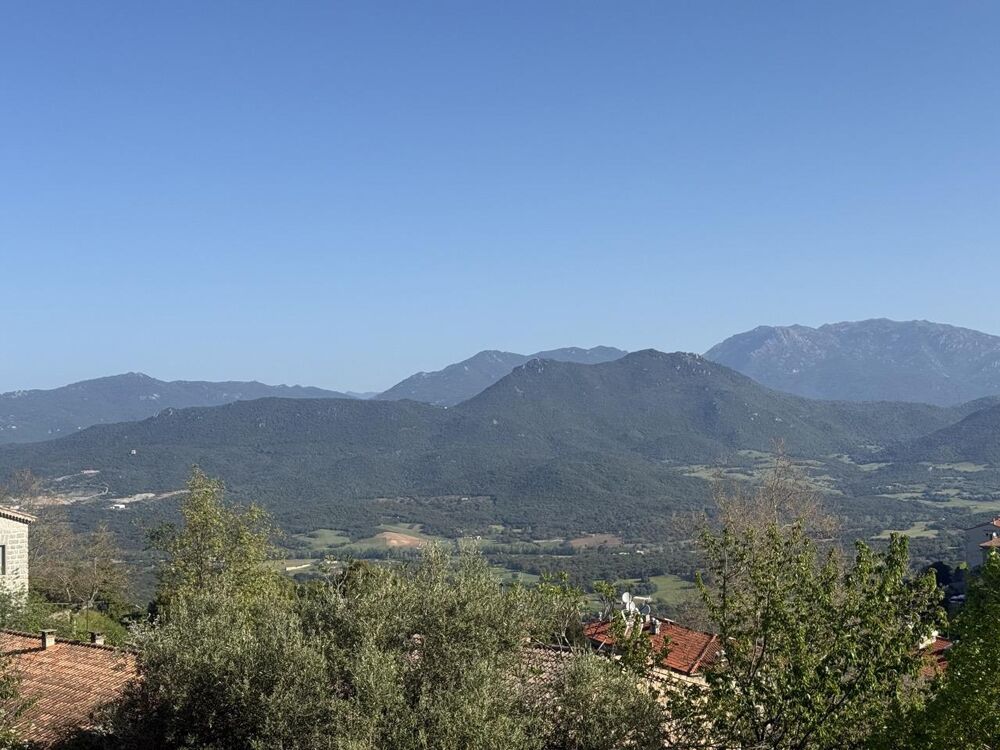 Vente Immeuble Immeuble 8 pièces Sartène