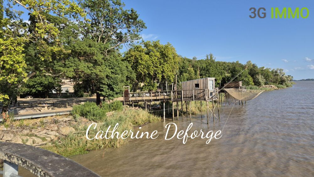 Vente Maison Ensemble de 2 maisons 15 pièces Gauriac