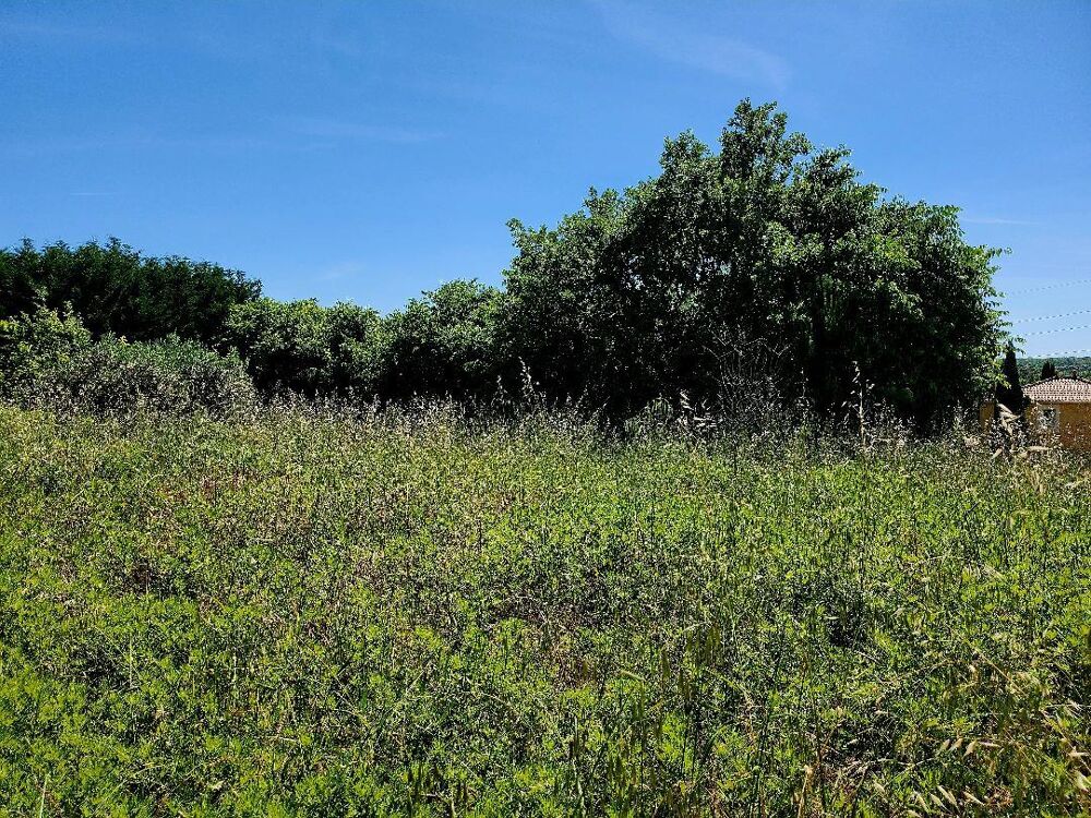 Vente Terrain Terrain constructible Cassagnoles