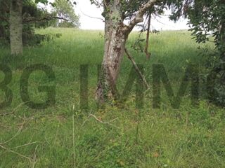  Terrain  vendre 705 m Montlieu-la-garde