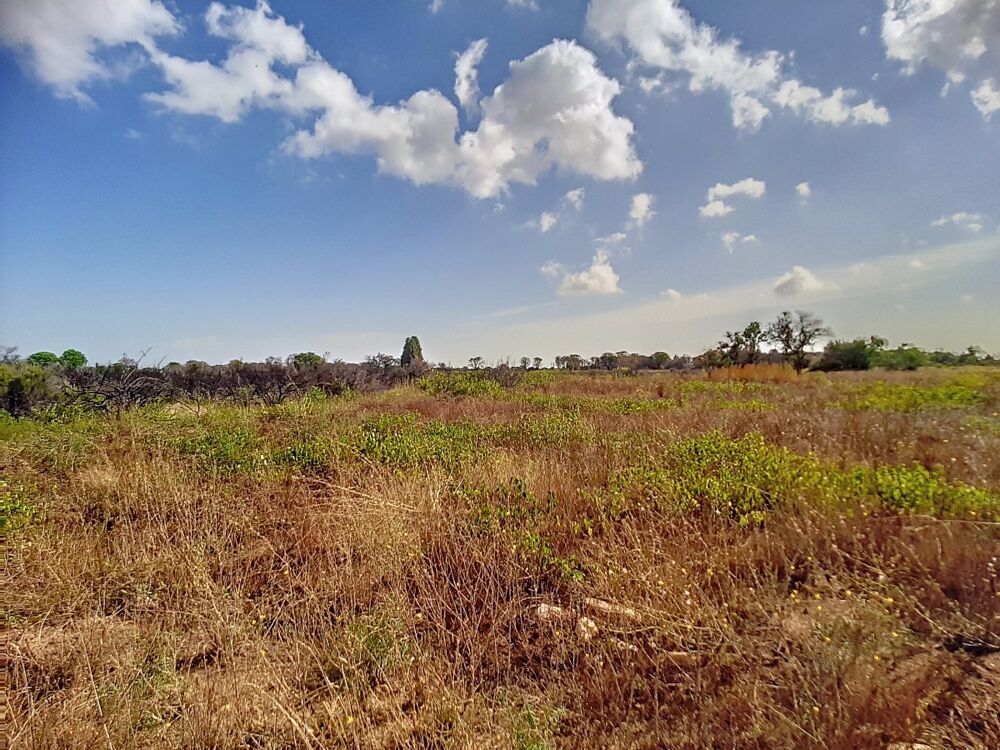 Vente Terrain Terrain agricole Saint-andr