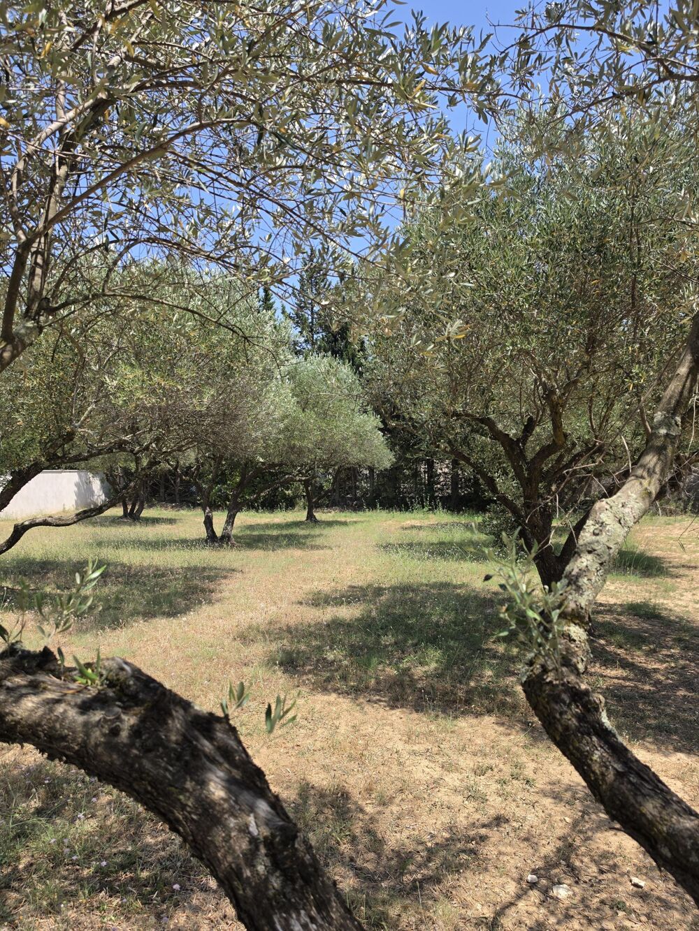 Vente Terrain Terrain constructible Uzès