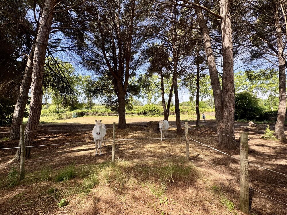  vendre  Maison Bziers (34500)