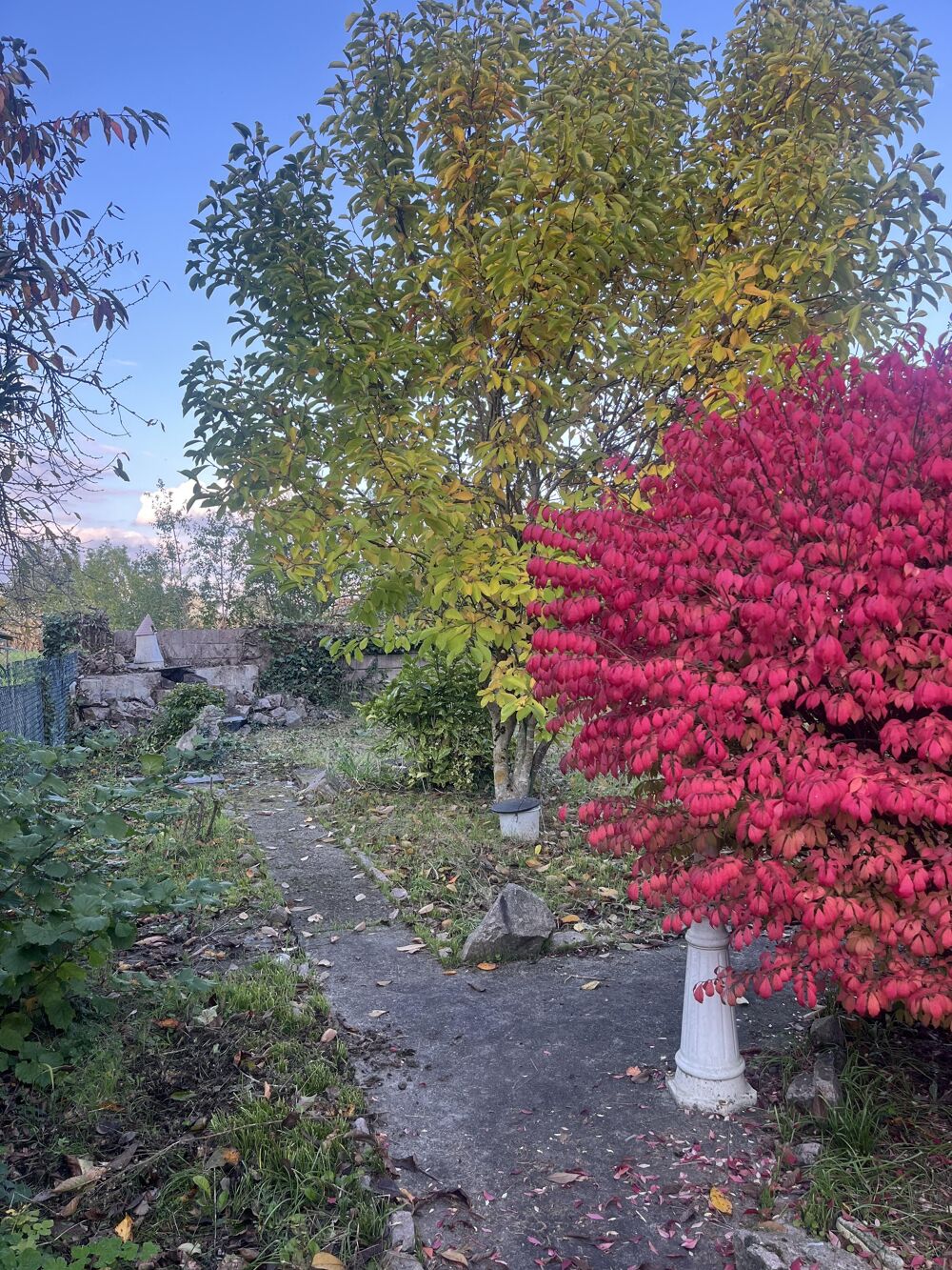 Vente Maison Maison 4 pices Hilsenheim