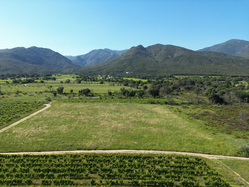 Vente Terrain Terrain agricole Saint-andré
