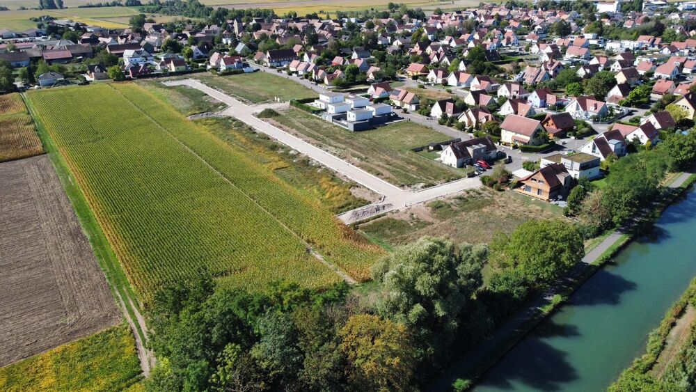 Vente Terrain Terrain constructible Muntzenheim