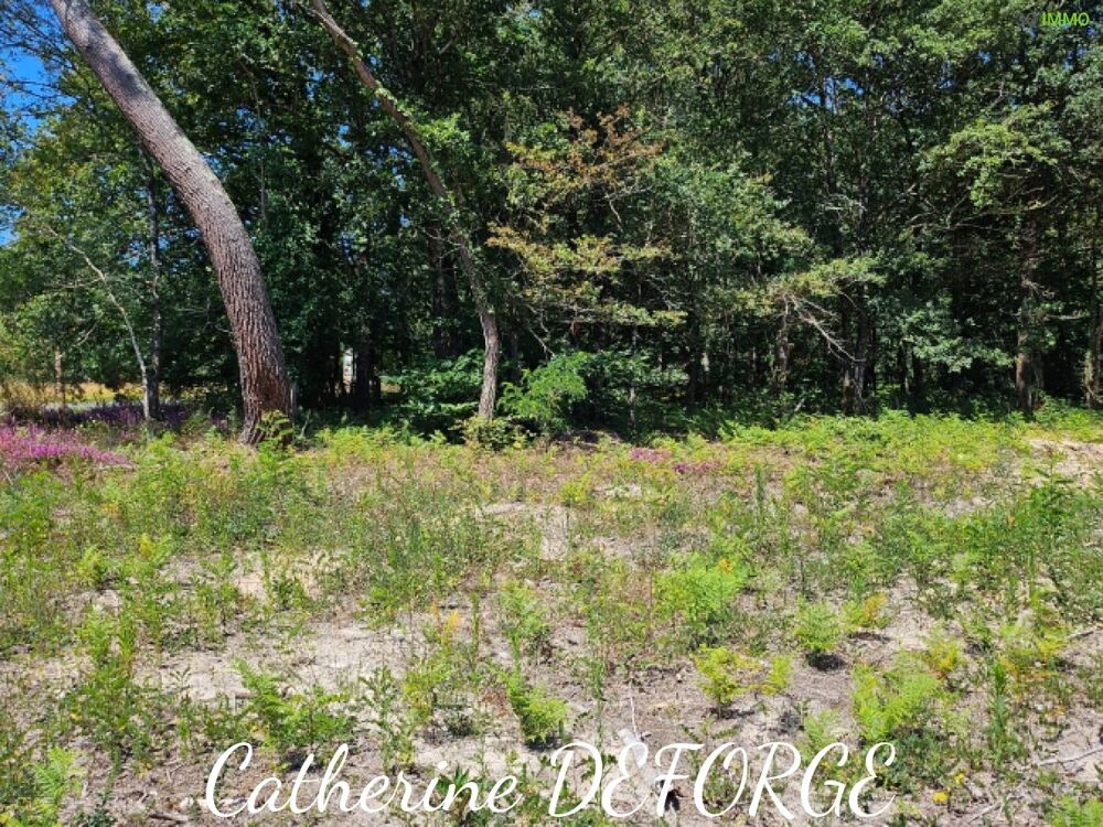 Vente Terrain Terrain constructible Civrac-de-blaye