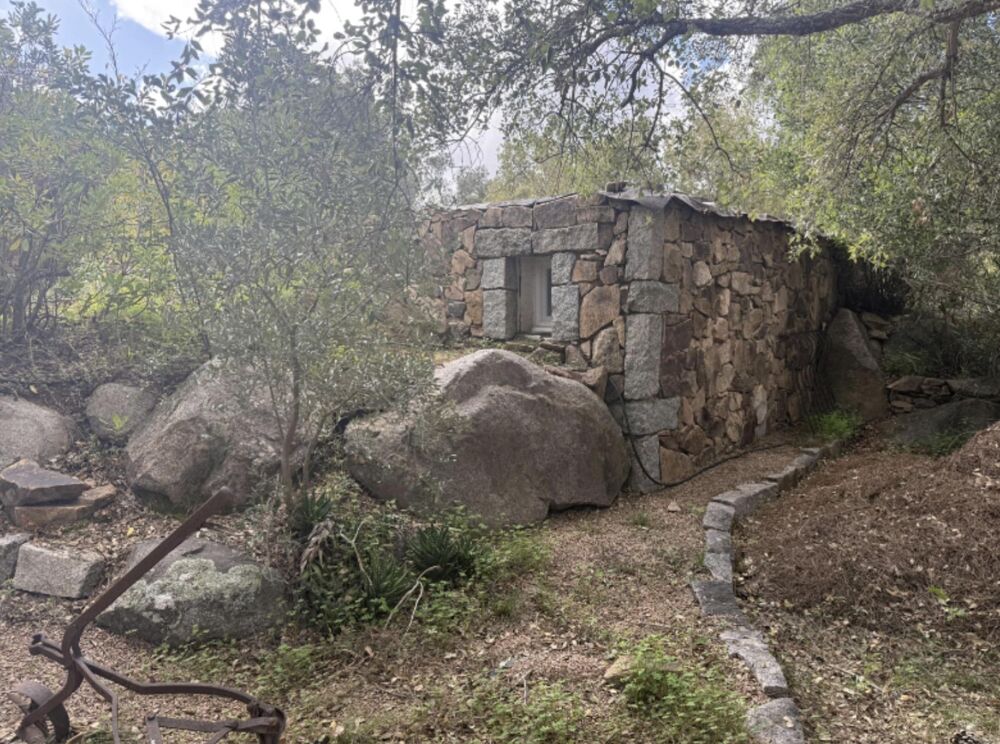 à vendre  Maison Porto-Vecchio (20137)
