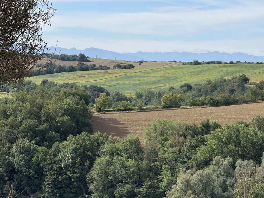 Vente Maison Ferme 6 pi�ces Lagarde