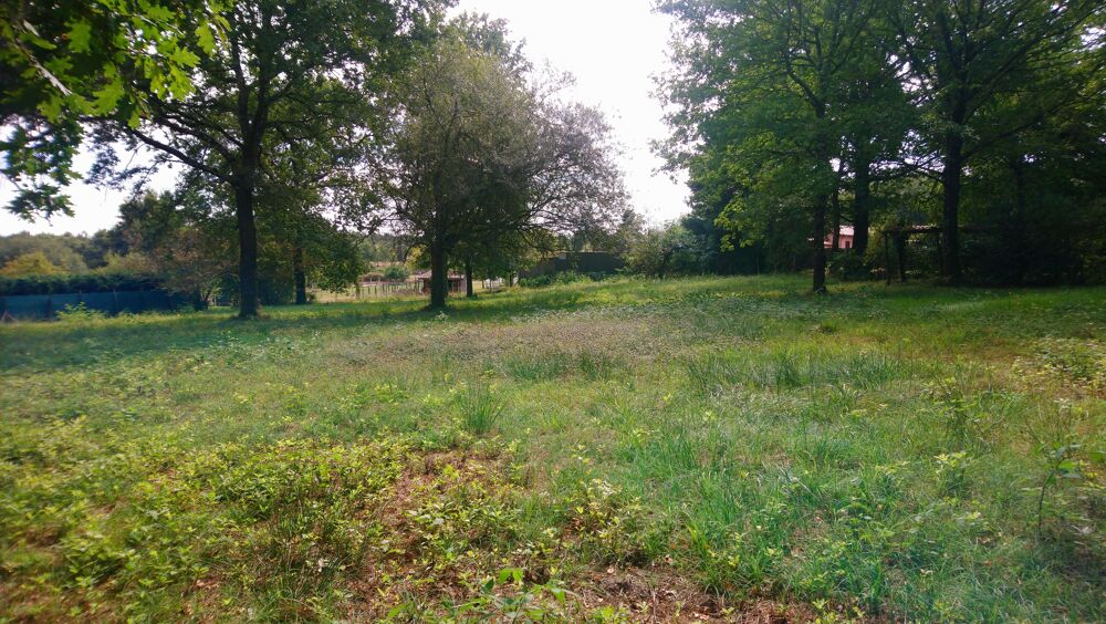 Vente Terrain Terrain Roaillan