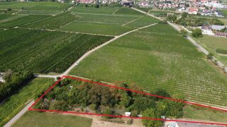  Terrain  vendre 3310 m