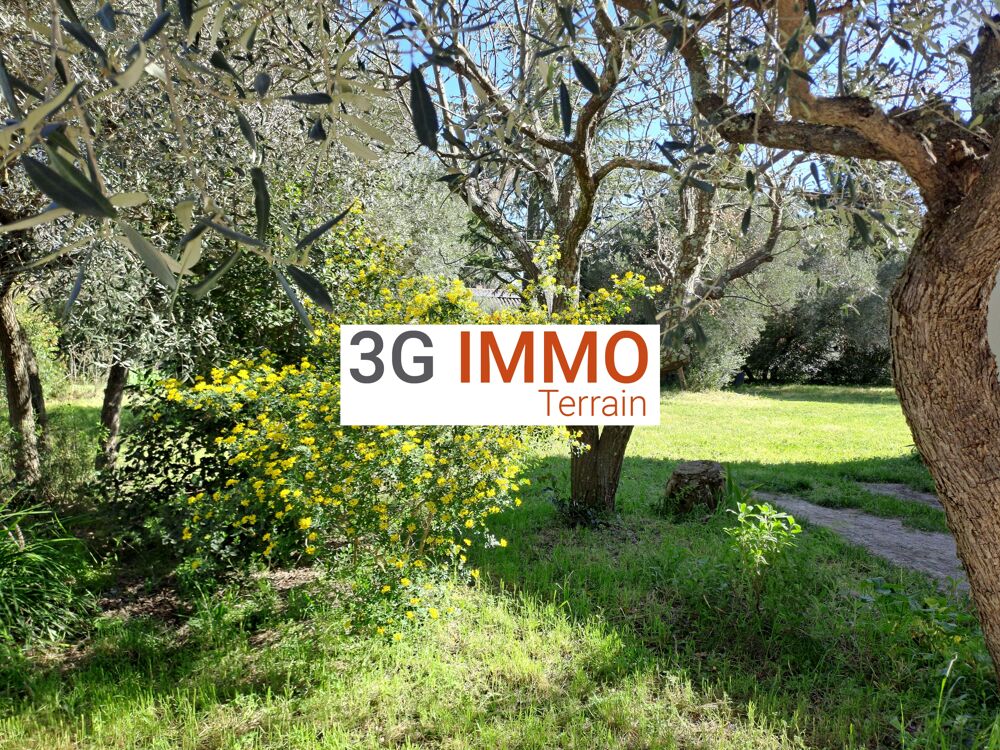 Vente Terrain Terrain constructible Saint-maximin