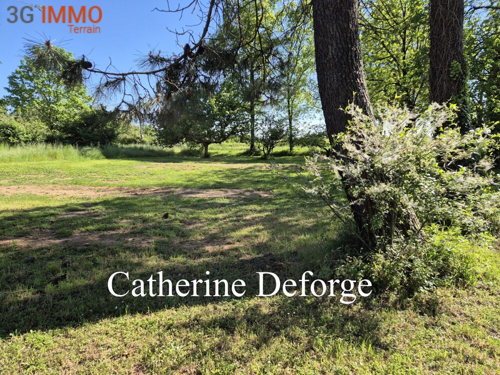 Vente Terrain Terrain constructible Prignac-et-marcamps