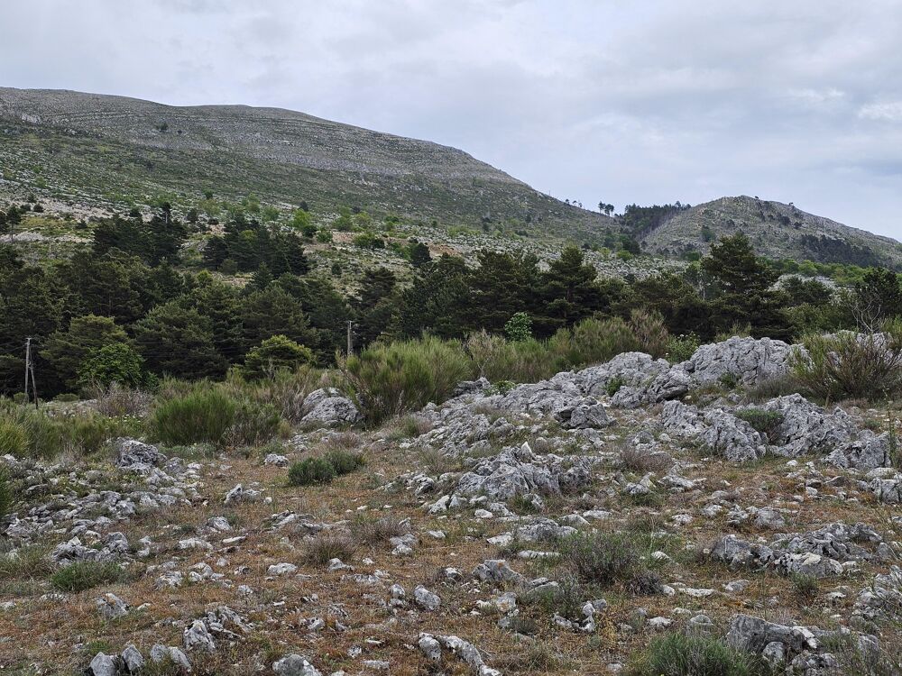 Vente Terrain Terrain Saint-vallier-de-thiey