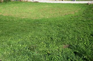  Terrain � vendre 496 m�