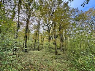  Terrain  vendre 82016 m