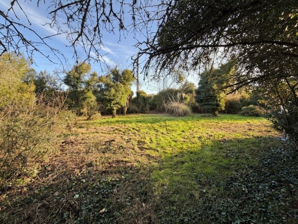 Vente Terrain Terrain constructible Lorrez-le-bocage-préaux