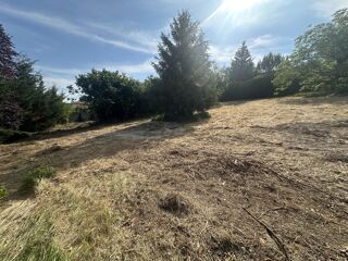  Terrain  vendre 1556 m