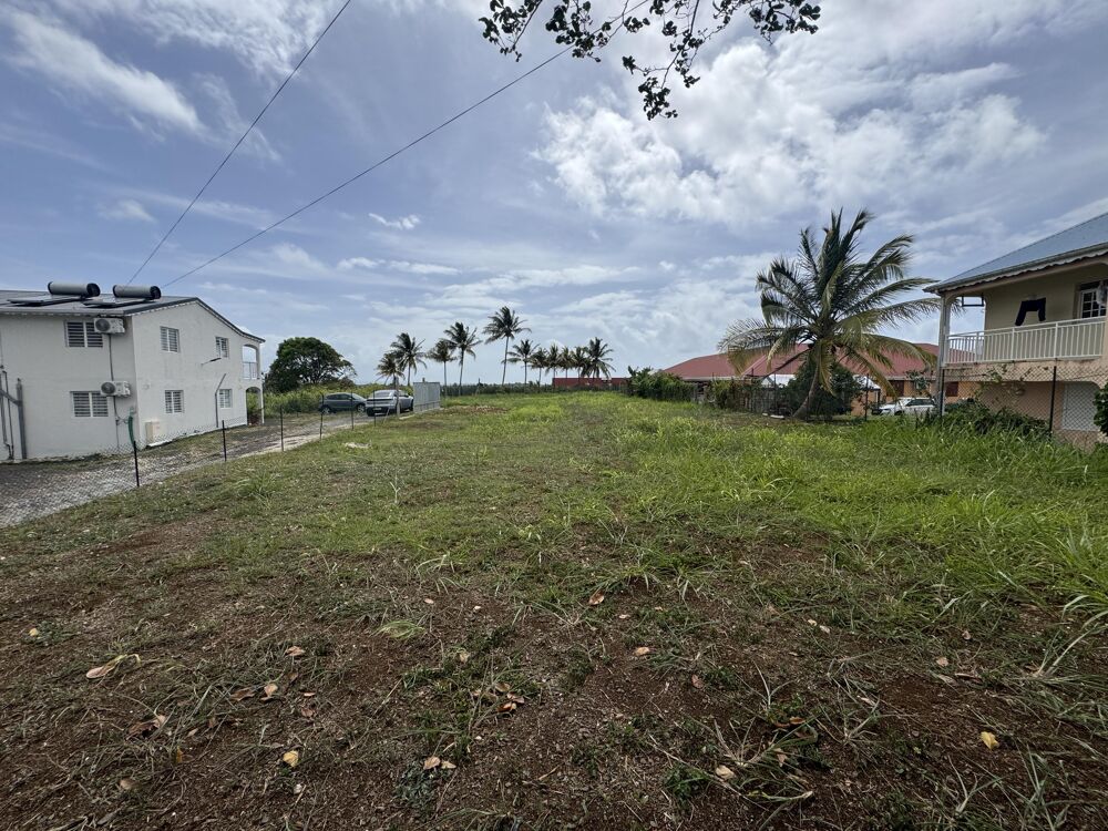 Vente Terrain Terrain constructible Goyave