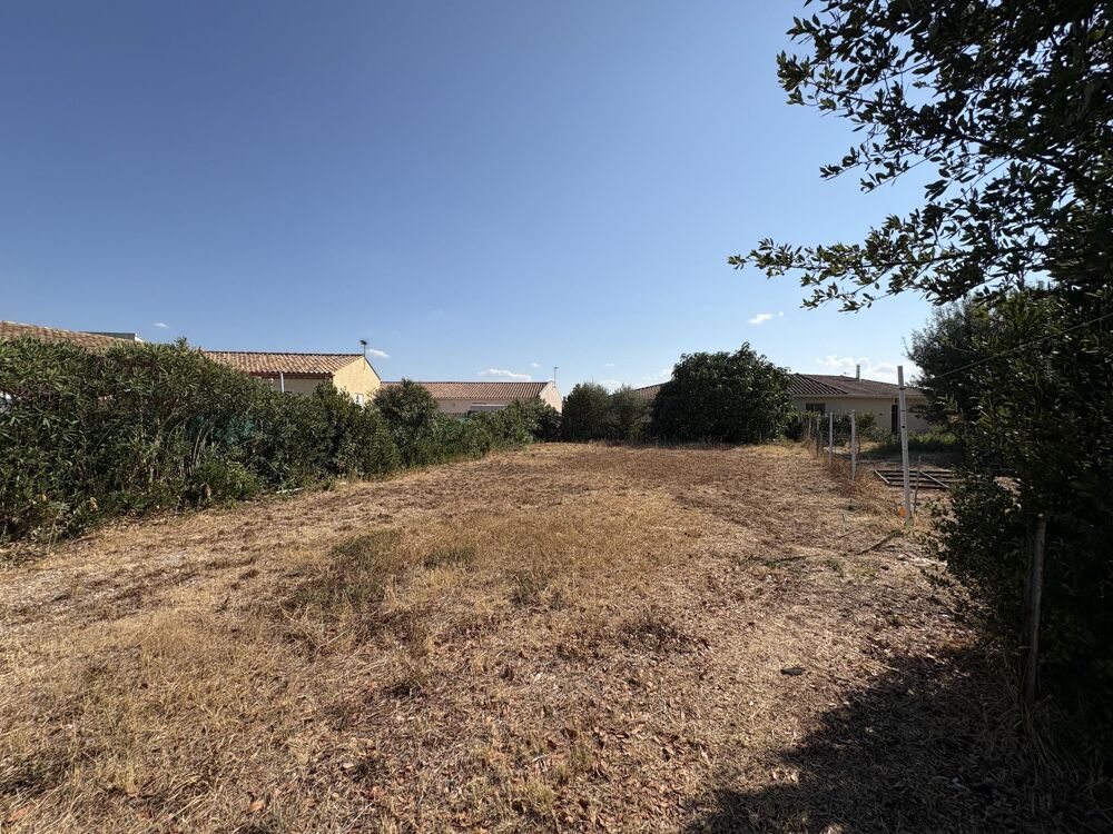 Vente Terrain Terrain constructible Canet