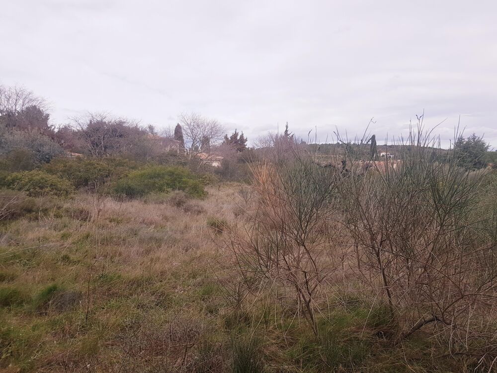 Vente Terrain Terrain constructible Pignan