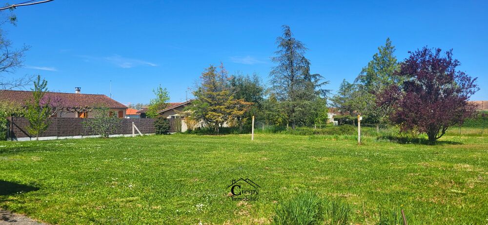 Vente Terrain Terrain constructible Revel