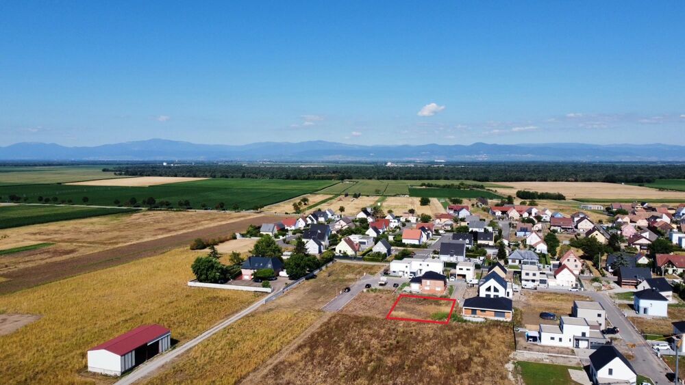 Vente Terrain Terrain constructible Dessenheim