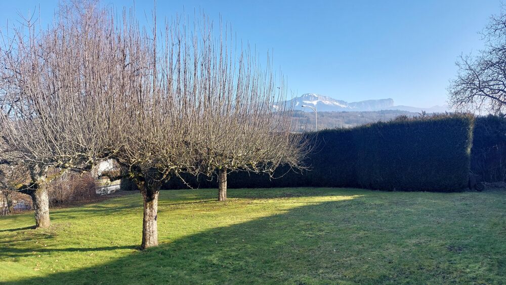Vente Terrain Terrain constructible Allonzier-la-caille