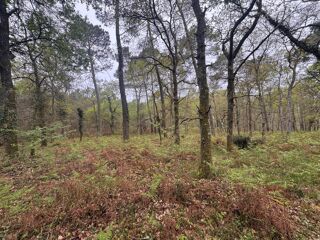  Terrain � vendre 48400 m�