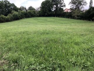  Terrain à vendre 4590 m²