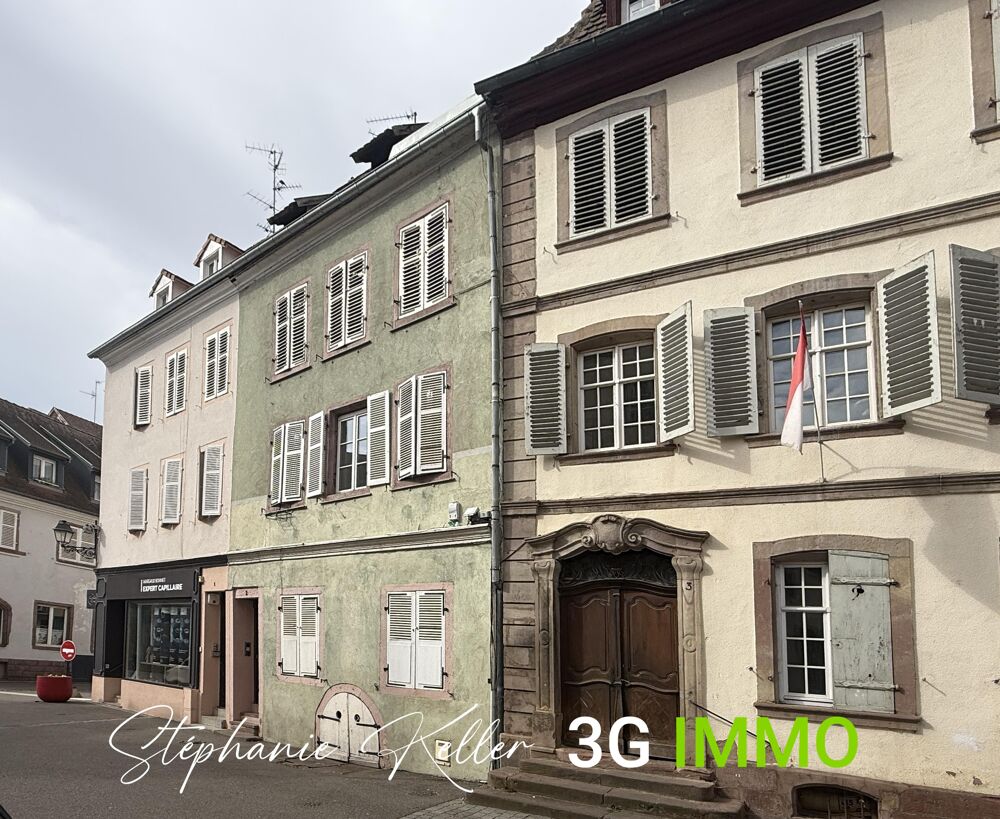 Vente Immeuble Immeuble 7 pièces Sélestat