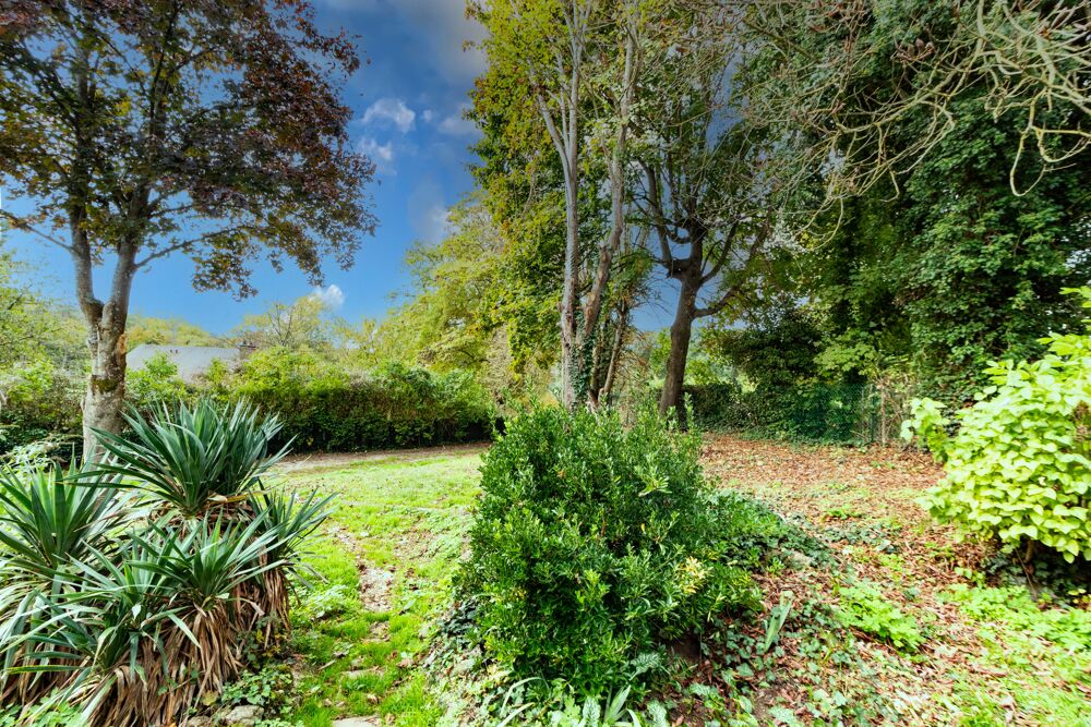 Vente Terrain Terrain constructible Nesles-la-vall�e