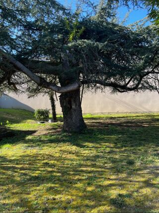  Maison  vendre 3 pices 74 m