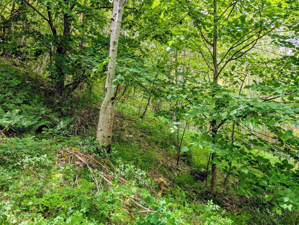Vente Terrain Terrain de loisirs Albon-d'ardèche