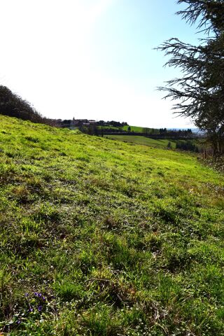  Terrain à vendre 1245 m²