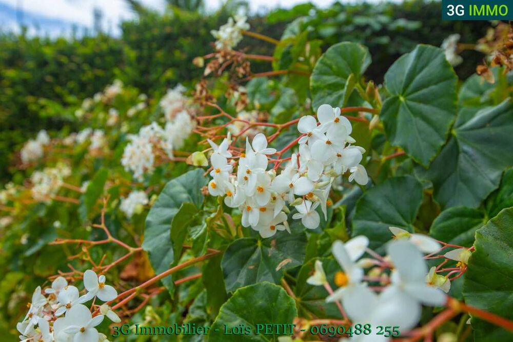 � vendre  Maison Petit-Bourg (97170)