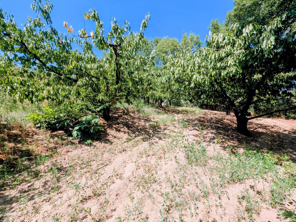 Vente Terrain Terrain constructible Le crestet