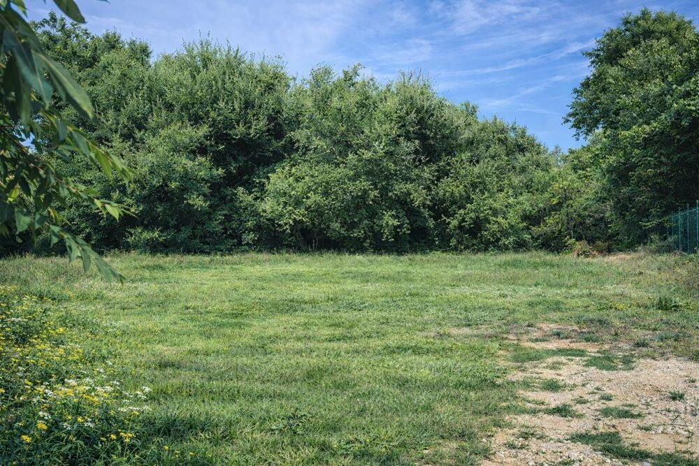 Vente Terrain Terrain constructible Ners