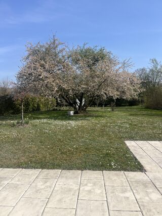  Maison � vendre 6 pi�ces 135 m�