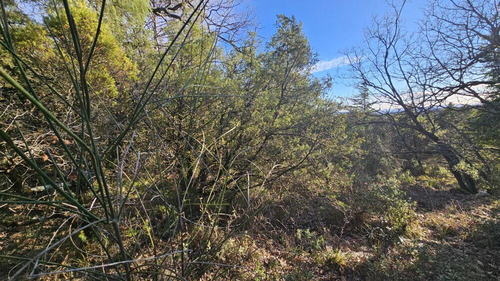 Vente Terrain Terrain Saint-vallier-de-thiey