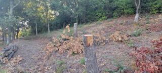  Terrain � vendre 725 m�