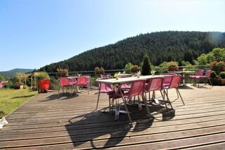  Maison � vendre 15 + pi�ces 1510 m�