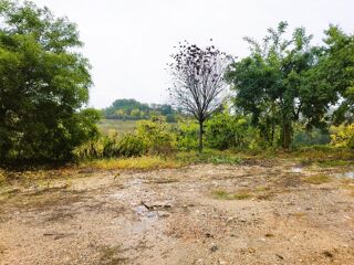  Terrain � vendre 1116 m�