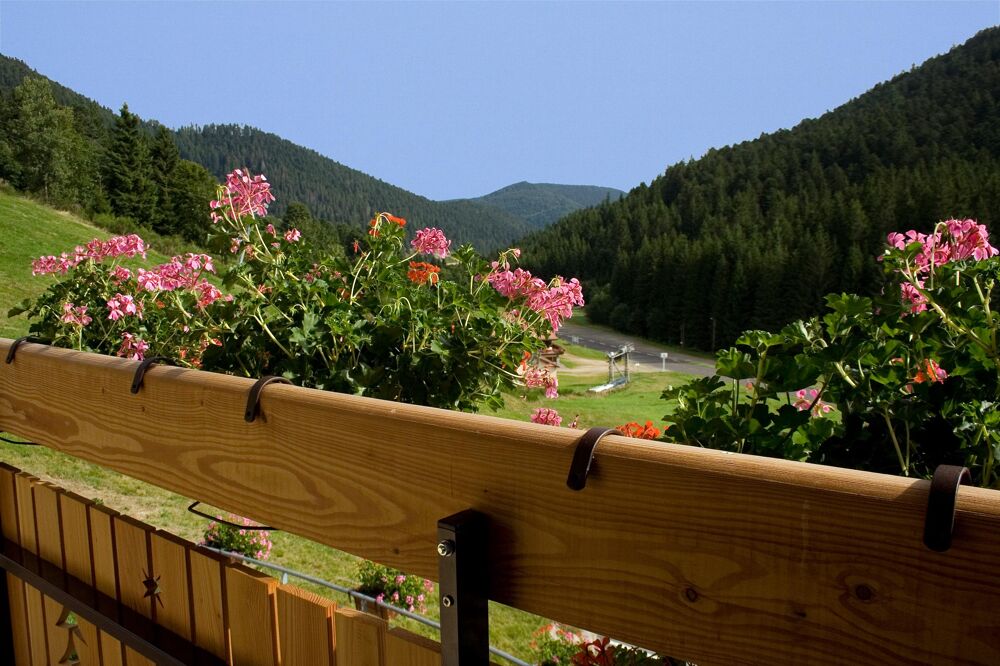  vendre  Maison Grardmer (88400)