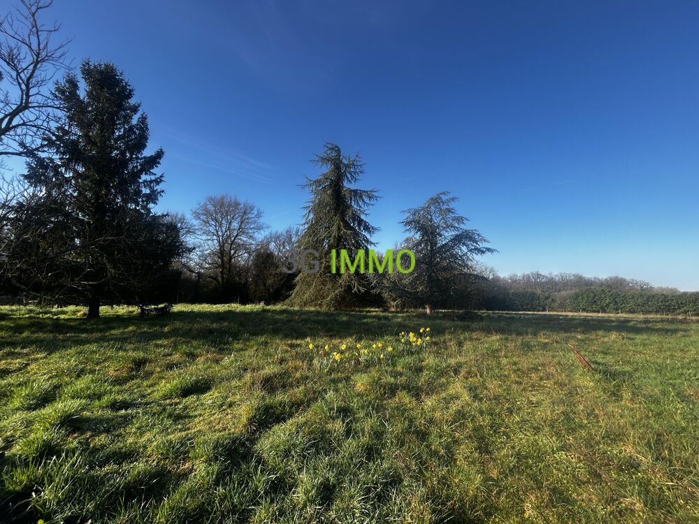 Vente Maison Maison traditionnelle 6 pièces Faverolles-sur-cher