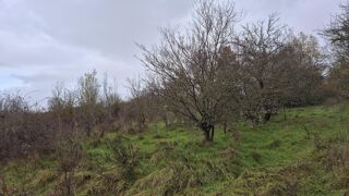  Maison � vendre 6 pi�ces 200 m�