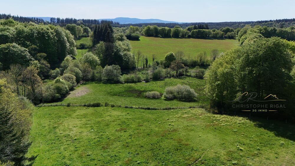 Vente Maison Maison 9 pièces Mazamet