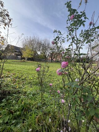  Maison � vendre 5 pi�ces 120 m�